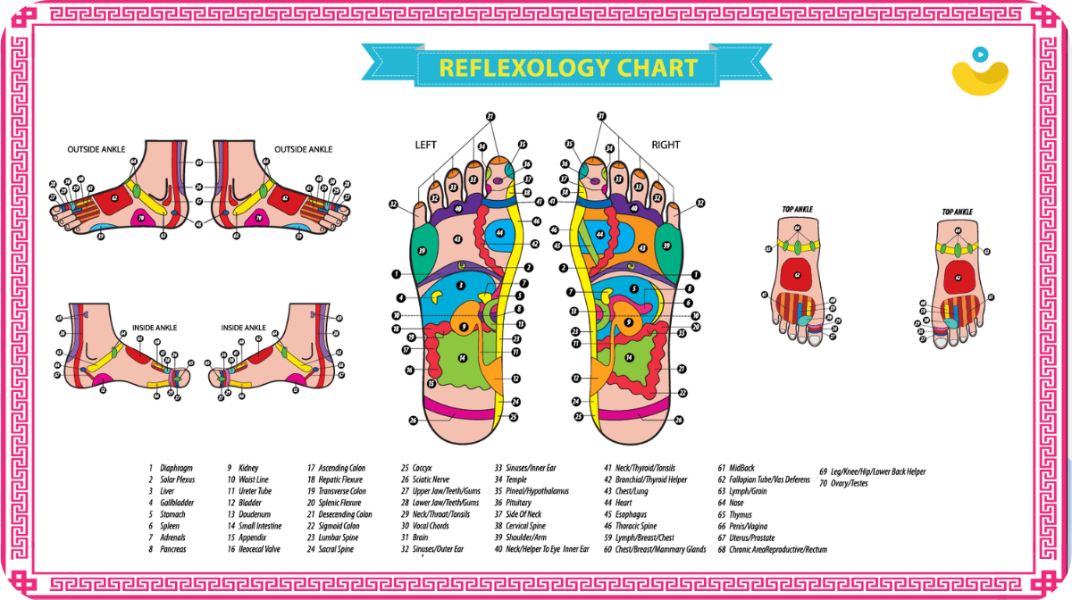 reflexology chart